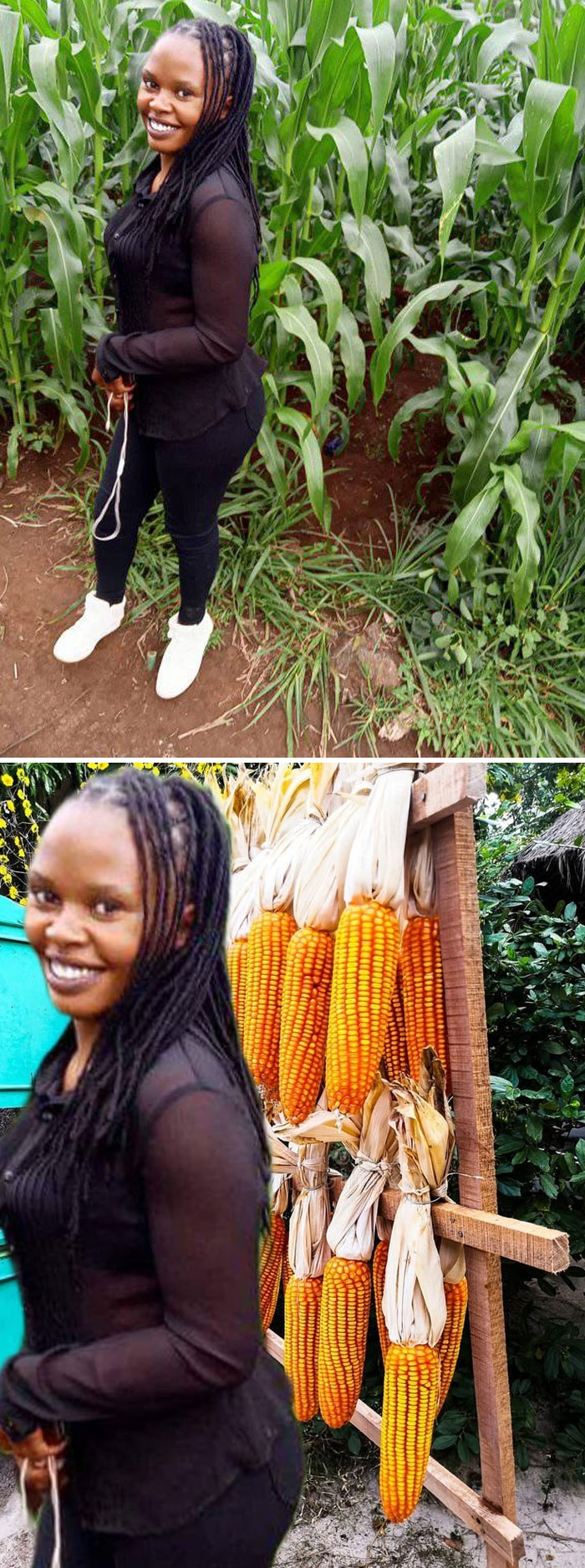 Woman posing among corn plants with an unexpected photo edit placing her next to hanging ears of corn in a humorous way