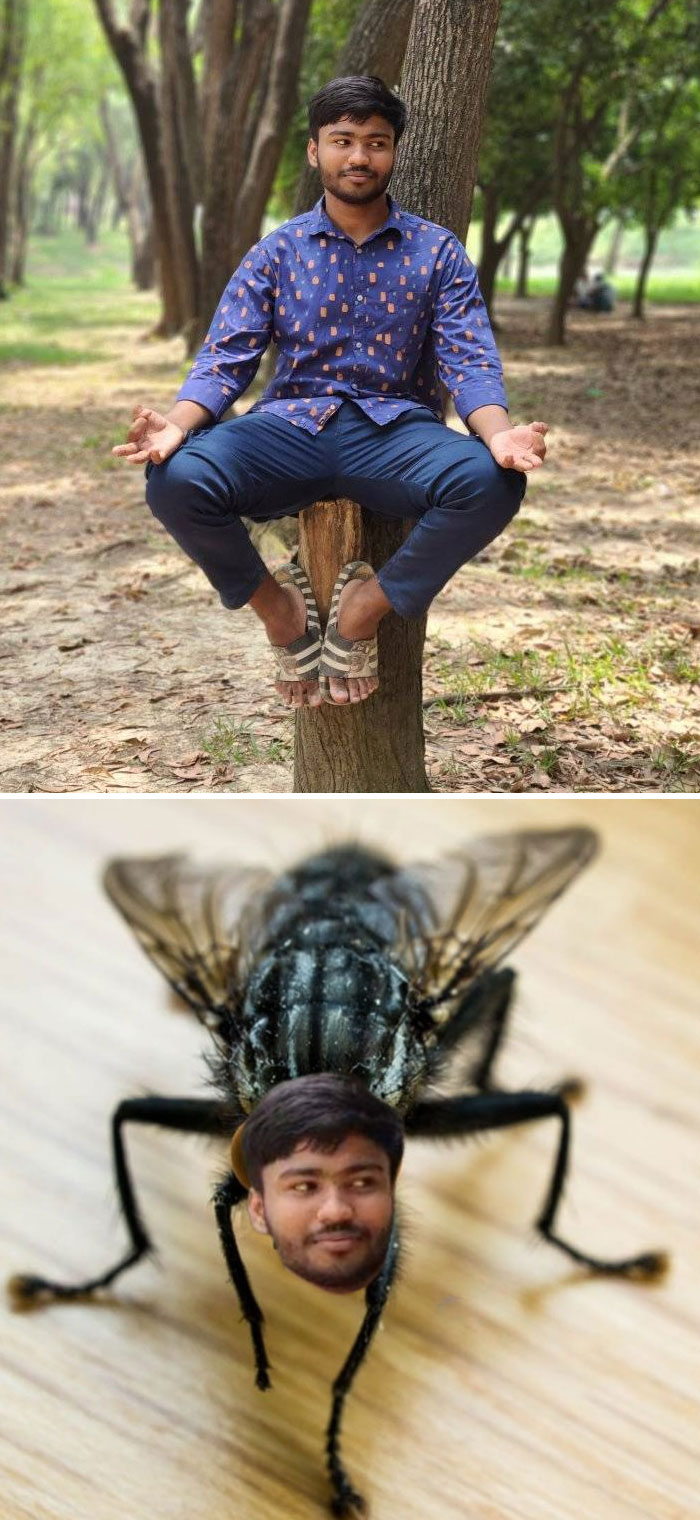 Man sitting on a tree edited humorously with his face on a fly, showing unexpected photo edits results.