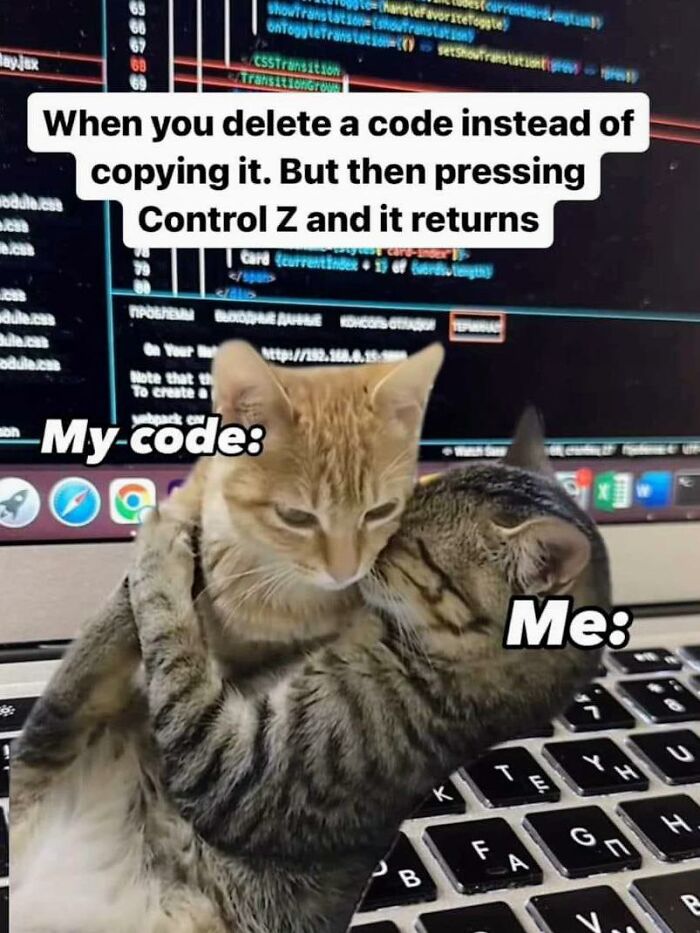Two cats embracing on a laptop keyboard with programming code in the background, illustrating memes programmers created.