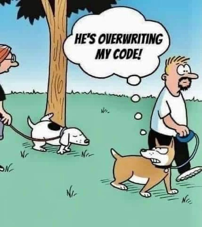 Cartoon of two people walking dogs with a funny meme about programmers and code overwrite in a park setting.