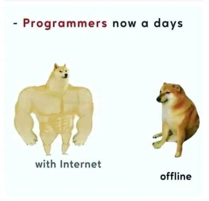 Meme showing muscular and normal Doge dogs to humorously compare programmers with and without internet.