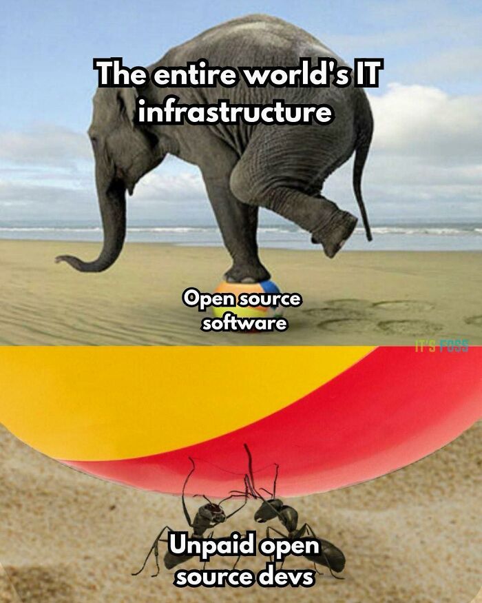 Elephant balancing on a ball labeled open source software while ants labeled unpaid open source devs support it, funny programmer meme.