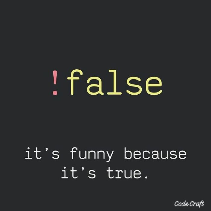 Programming meme showing the word false with a comment it's funny because it's true, humorous coder content.