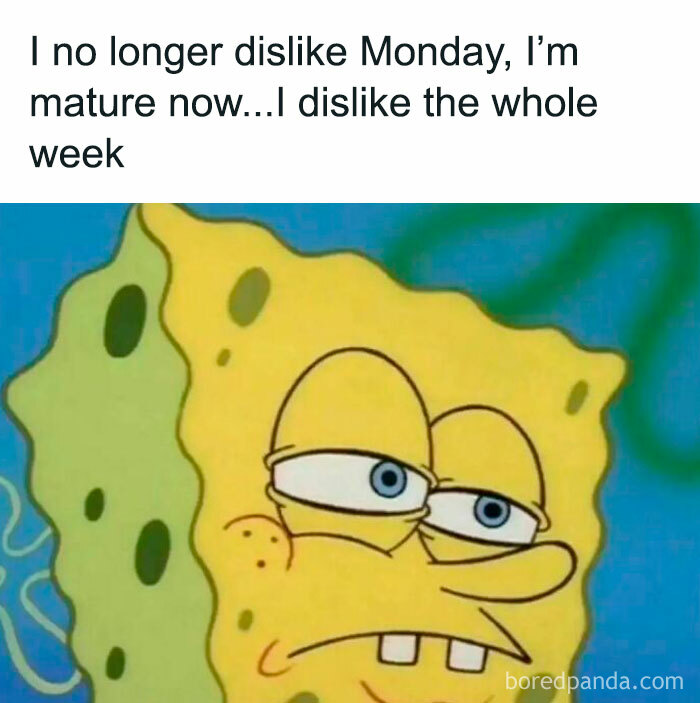 Spongebob meme expressing dislike for the whole week, featured in hilarious memes to save your day.