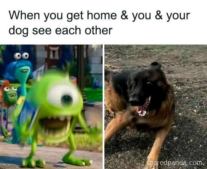 Excited reaction of animated character and dog meeting at home in a hilarious meme from popular internet humor collection.