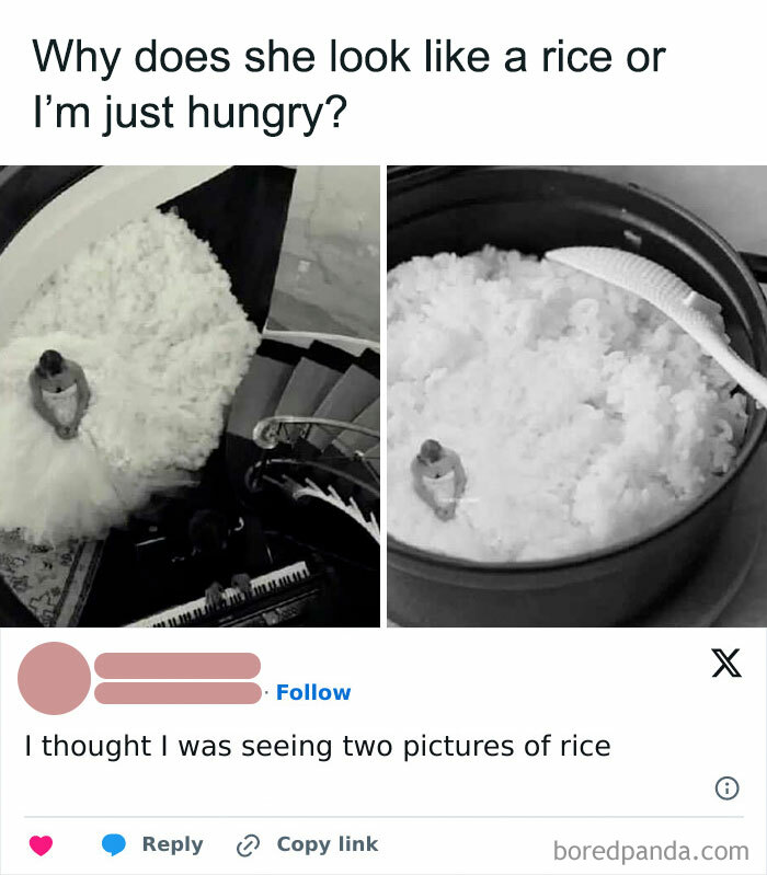 Bride with a large dress compared to a bowl of rice, creating a funny visual meme for hilarious memes and laughter.