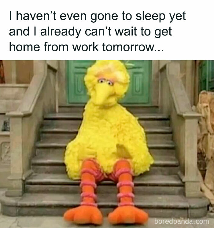 Big Bird sitting on steps looking tired with caption about not sleeping yet but eager for work to end, funny meme.