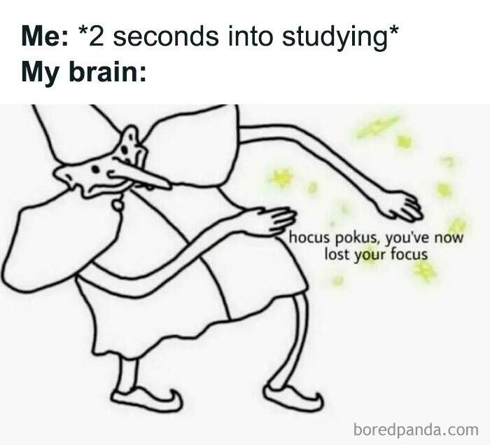 Cartoon meme showing distraction while studying with text about losing focus, perfect for hilarious memes to save your day.