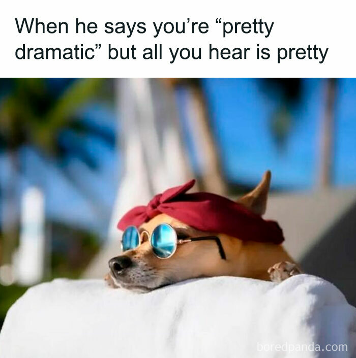 Dog wearing sunglasses and a red headband relaxing outdoors with a funny meme about being dramatic and hilarious memes.