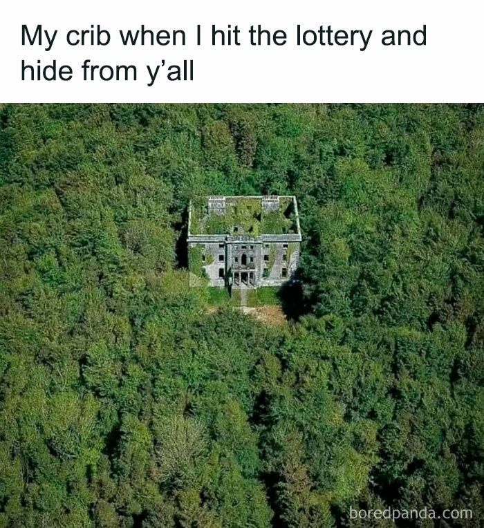 Abandoned house hidden in dense forest, representing a funny meme about hiding after hitting the lottery for hilarious memes.
