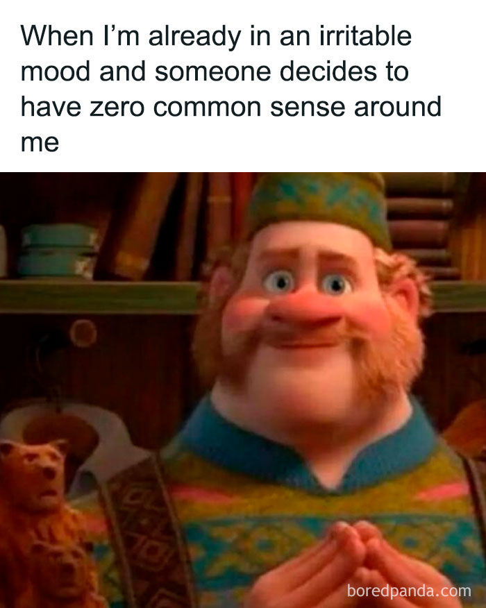 Animated character with a frustrated expression, captioned about irritability and lack of common sense, funny meme for laughs.