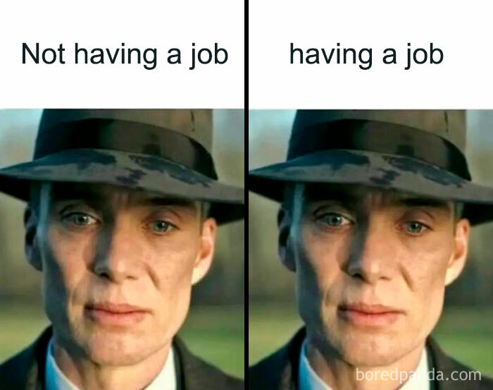 Side-by-side meme showing subtle facial changes comparing not having a job versus having a job, featuring hilarious memes.