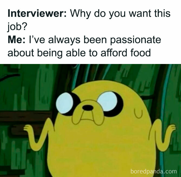 Hilarious meme showing a cartoon dog shrugging with text about wanting a job to afford food humorously.