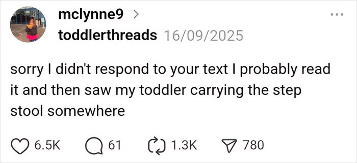 Parenting post about toddler carrying a step stool, highlighting relatable moments in everyday parenting humor.