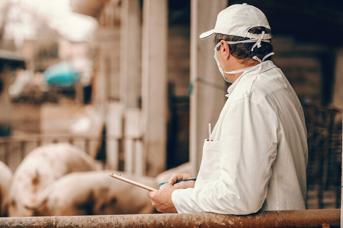 Inspector in white coat and cap holding clipboard, checking for health violations in a restaurant setting.