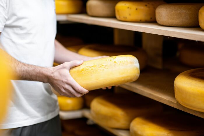Person holding a round cheese wheel in a storage room with shelves full of cheese wheels and blocks nearby