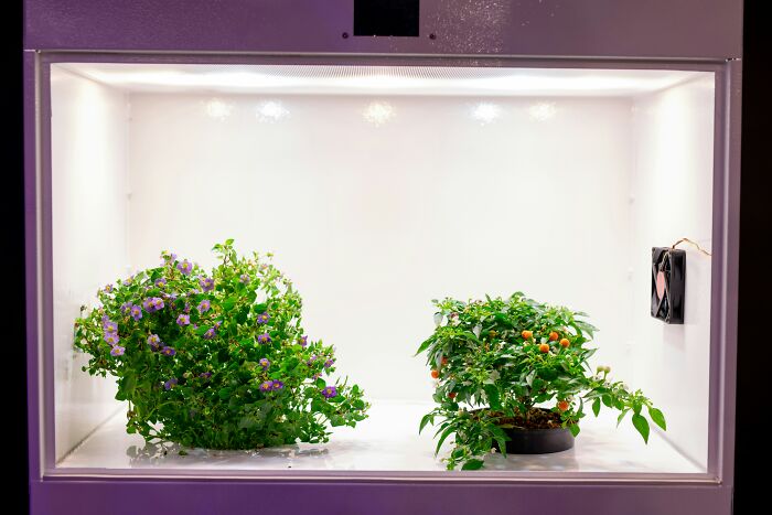 Indoor plants growing under artificial light in a controlled environment illustrating product sabotage by companies.