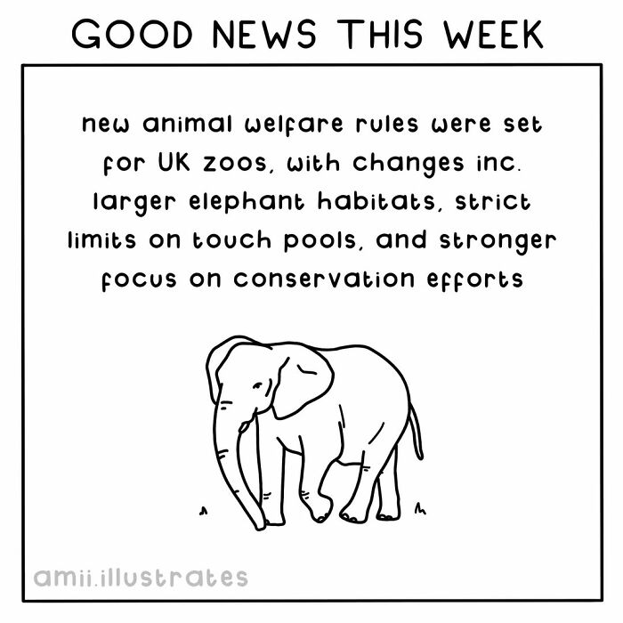 Good news this week about positive things with new animal welfare rules for UK zoos and larger elephant habitats.