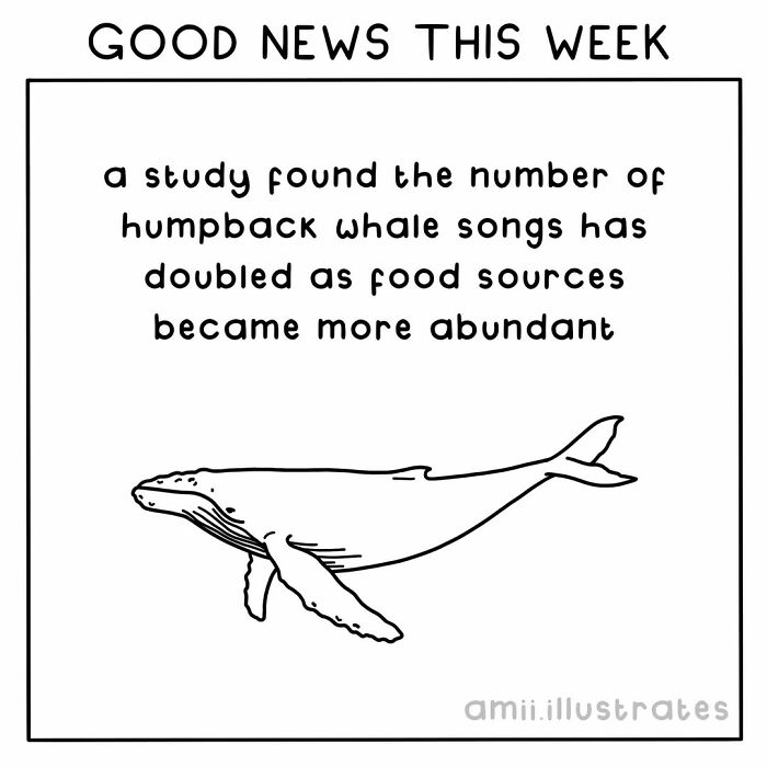 Good news this week showing a humpback whale with study on whale songs doubling due to more abundant food sources.