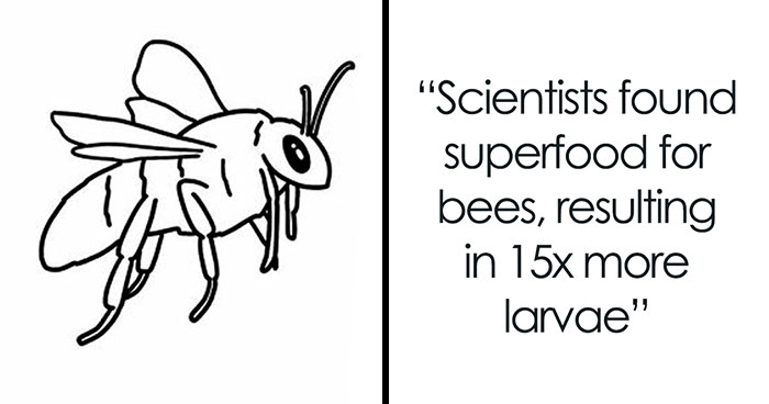 Tired Of Bad News? Here Are 50 Good Things That Happened Recently And Deserve More Spotlight