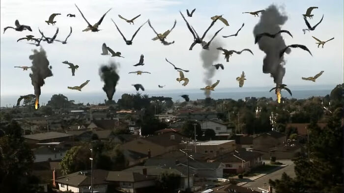 Flock of birds flying over a suburban neighborhood with multiple fires and smoke rising in the background from worst-best movies.