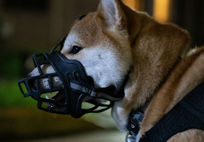 47 Times People Trusted Their Instincts And Avoided Major Regret