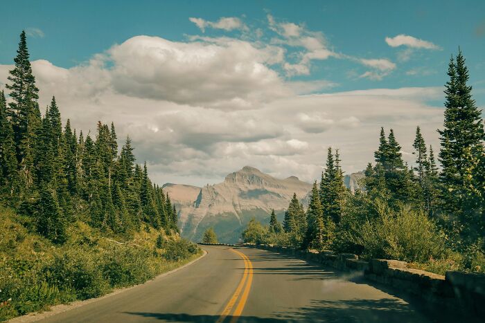Scenic mountain road surrounded by trees under a cloudy sky, illustrating people who lost all their savings in a single event.