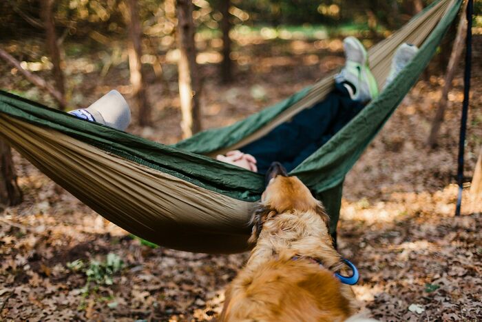 Person resting alone in a hammock in the woods with a dog nearby, illustrating creepy encounters while alone in the woods.