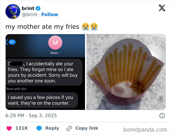 Text message from funny parent admitting to eating fries by accident with a nearly empty fries container on the table.