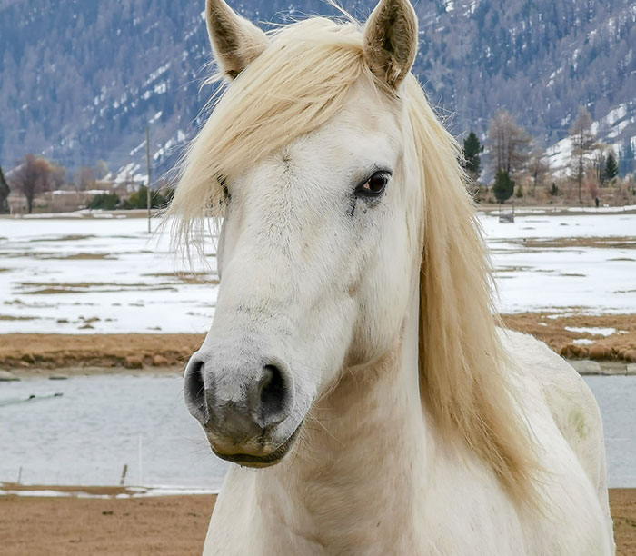 "A Magnitude 10 'Bruh' Moment": 42 Insane History Moments That Don't Seem Real