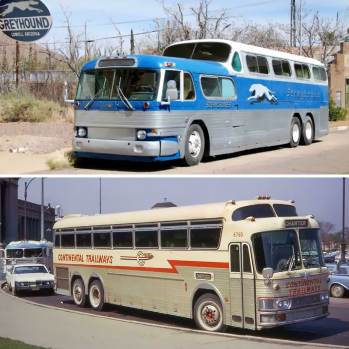 Vintage Greyhound and Continental Trailways buses parked outdoors, evoking nostalgia and reminders of old age.