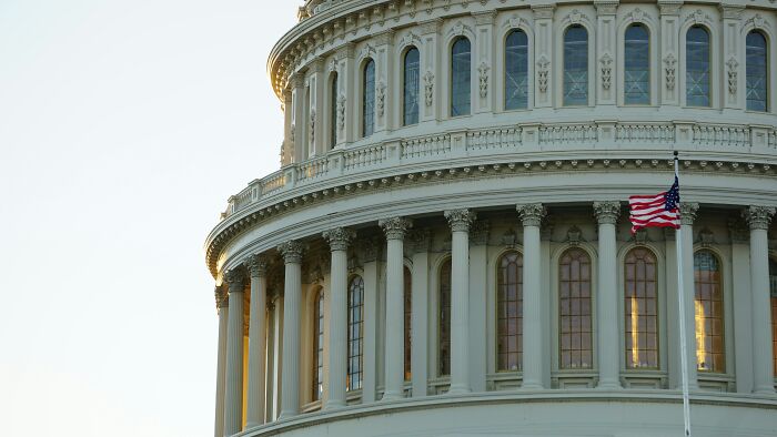 Close-up of the Capitol building with columns and an American flag, illustrating suspicious professions like butcher and gravedigger.
