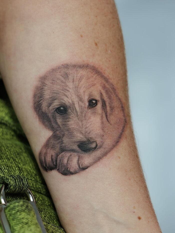 Realistic emotional pet tattoo of a puppy on forearm by a Korean tattoo artist specializing in cats dogs and rabbits.