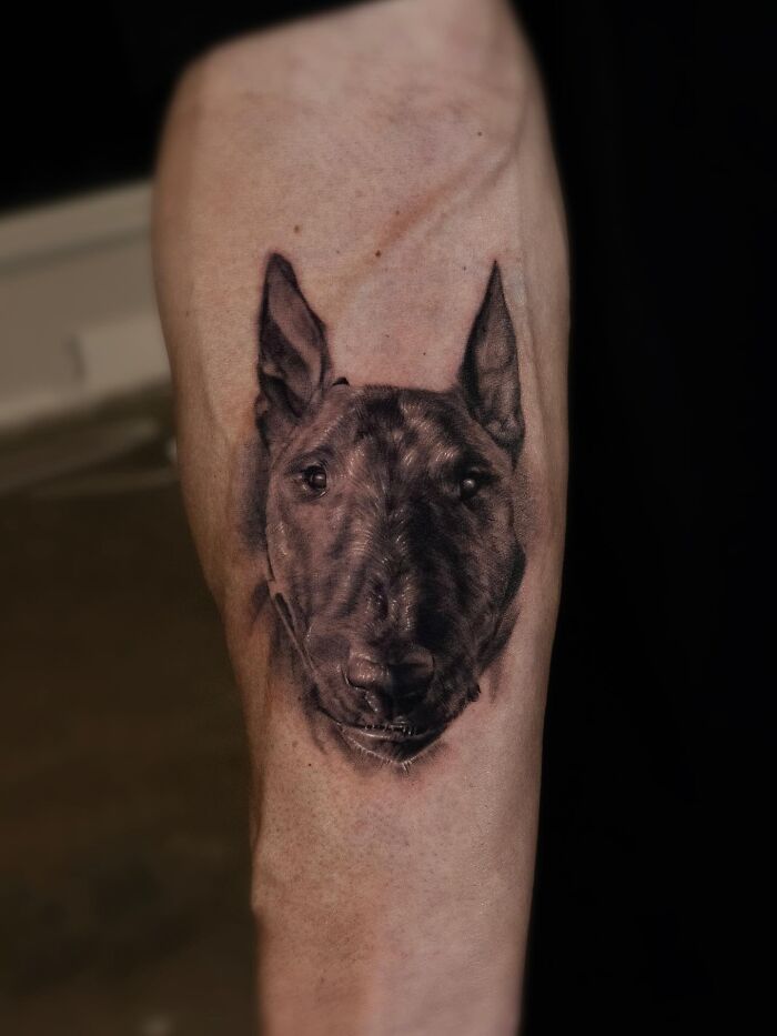 Realistic emotional pet tattoo of a dog on a person's forearm by a Korean tattoo artist.