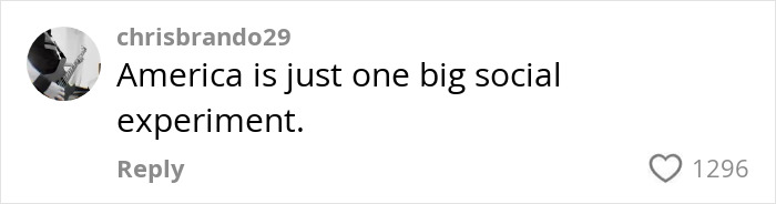 Alt text: Social media comment on RaptureTok discussing America as a big social experiment with user engagement shown.
