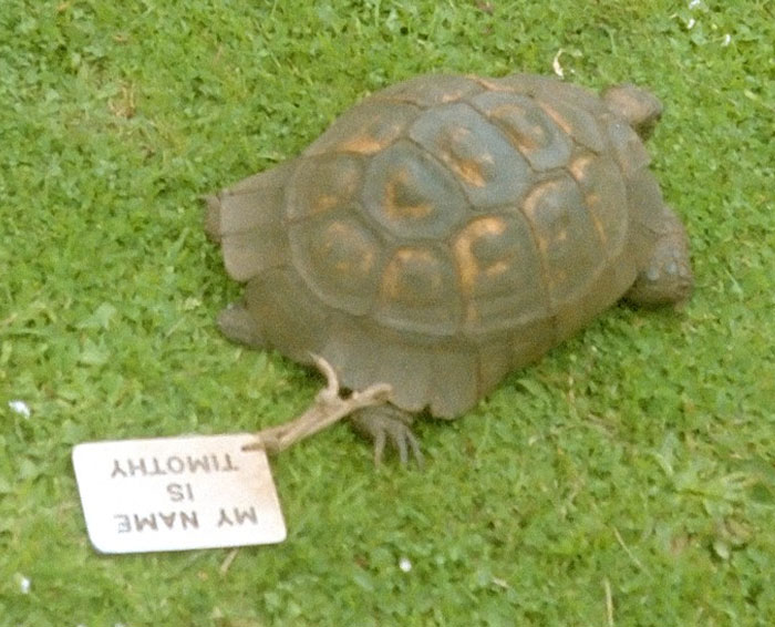 46 ‘Today I Learned’ Facts That May Come In Clutch When Conversation Runs Dry (New Facts)