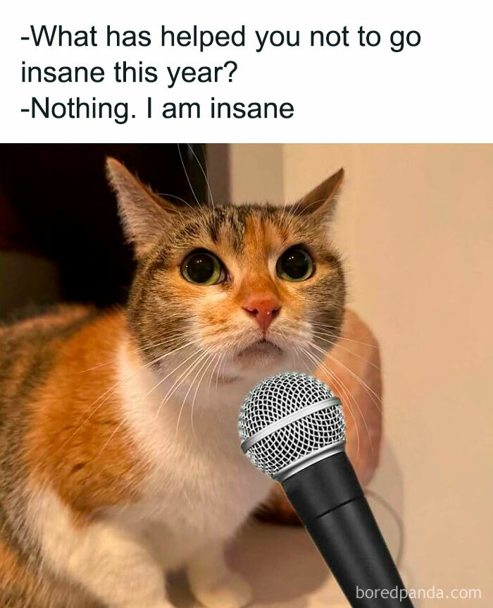 Cat holding a microphone with a humorous introvert meme about staying sane, part of introvert memes to decompress.