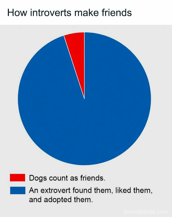 Pie chart showing how introverts make friends mostly through extroverts, with a small portion counting dogs as friends, introvert memes.