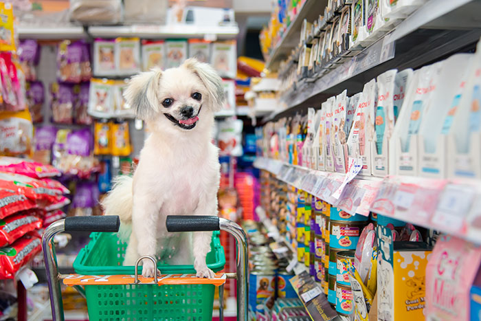 Small white dog standing in a green shopping cart inside a pet store aisle filled with pet food products.