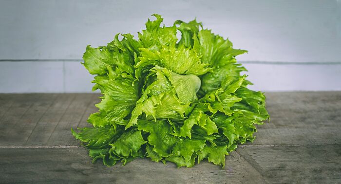 Fresh green lettuce placed on a tiled surface, representing common items involved in health violations in restaurants.