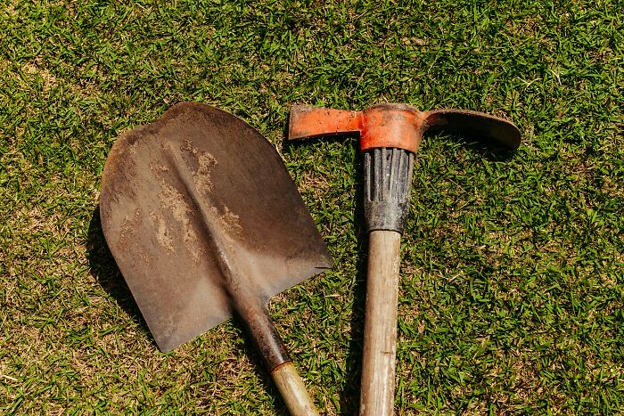 Shovel and digging tool on grass representing gravedigger and butcher professions raising suspicion together.