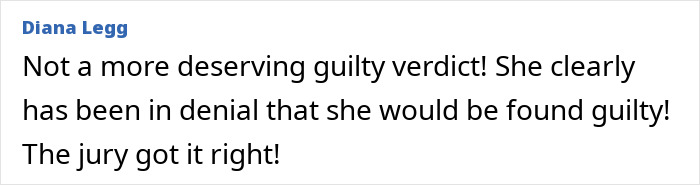 Comment by Diana Legg emphasizing the jury&rsquo;s guilty verdict on a grandma&rsquo;s court meltdown and viral plot case