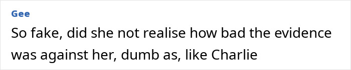 Screenshot of online comment reacting to court case involving grandma&rsquo;s meltdown and plot against ex-son-in-law.