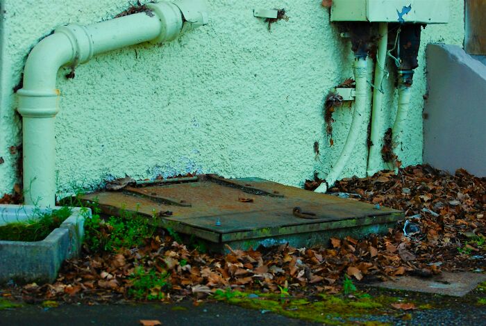 Rusty metal cellar hatch surrounded by leaves and pipes, hinting at stories from people who explore beneath our feet.