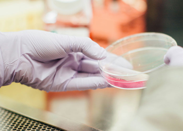 46 Eerie And Interesting Facts, As Shared By These Science-Savvy People Online