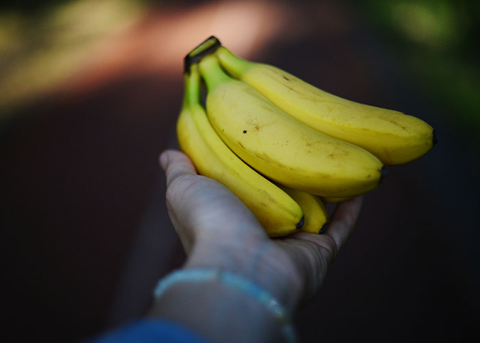 Hand holding a bunch of ripe bananas, illustrating interesting scientific facts that are also a bit eerie.