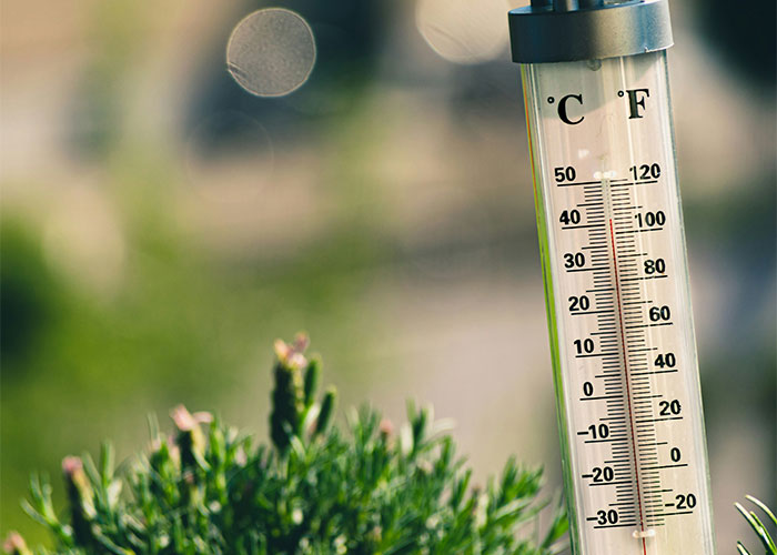 Outdoor thermometer showing temperature in Celsius and Fahrenheit with greenery in the background, scientific facts theme.