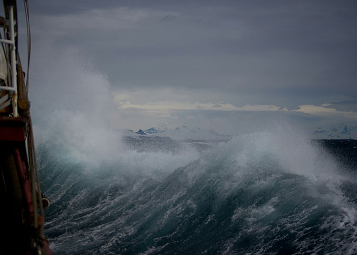 46 Eerie And Interesting Facts, As Shared By These Science-Savvy People Online