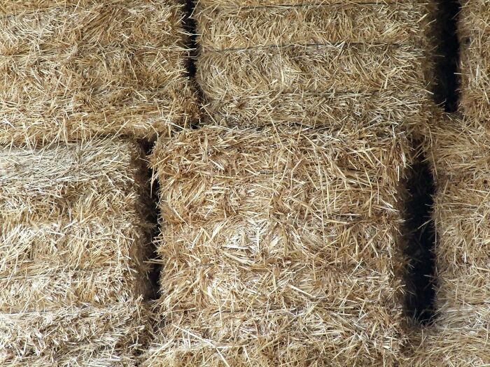 Stacked rectangular hay bales arranged in rows, illustrating a fast way people have seen someone get fired.