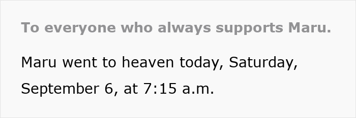 Message announcing Maru, the famous cat, passed away on September 6 at 7:15 a.m., thanking supporters.